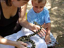 Фото № 017. Детей нужно с детства учить всем опасностям, которые могут исходить от среднестатистической змеи.