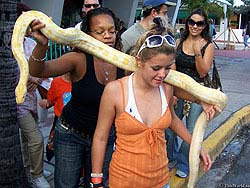 Фото № 055. Не все женщины испытывают страх перед змеями, подсознательно чувствуя между собой и этими животными некоторое сходство.