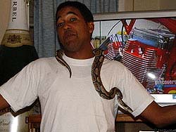 Фото № 102. Это фото – лишнее подтверждение того, что змеи не имеют расовых предрассудков.