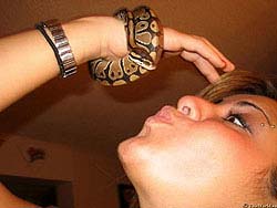 Фото № 114. У некоторых людей любовь к змеям принимает болезненные формы.