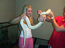 Фото № 156. Бережное обращение со змеей всегда приятно видеть.