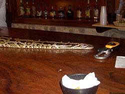 Фото № 186. В пивном баре змея может служить эффективным средством от пьянства и дебошира.