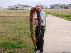Фото № 205. Фото негодяя, беспощадно убившего такую крупную змею.