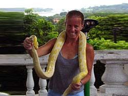 Фото № 214. Увесистая желтая змея на шее у ни в чем не повинной женщины.