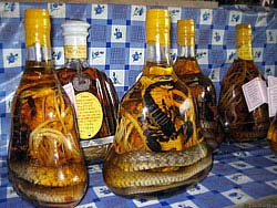 Фото № 277. Скорпион, бесстрашно сражавшийся со змеей, вместе с ней попал в бутылку со спиртом, так и не внеся ясность в вопрос: кто же сильнее?