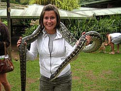 Фото № 335. С трудом удерживая тяжеленную змею на хрупкой женской шее, девушка старалась отнести ее как можно дальше от детенышей кенгуру.