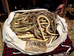 ТФото № 382. Пластмассовые змеи в некоторых странах мира продаются по цене всего пять долларов за штуку, поэтому от такой покупки трудно отказаться.