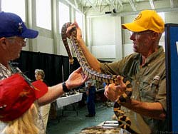 Фото № 385. На змеином базаре можно приобрести практически любую змею.