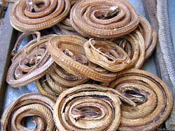 Фото № 220. Целая коллекция отслуживших свое змеиных шкур, так называемых выползков.